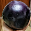 Black And Purple Eggplant Seeds